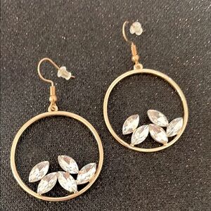 Elegant Gold and Silver Hoop Earrings
